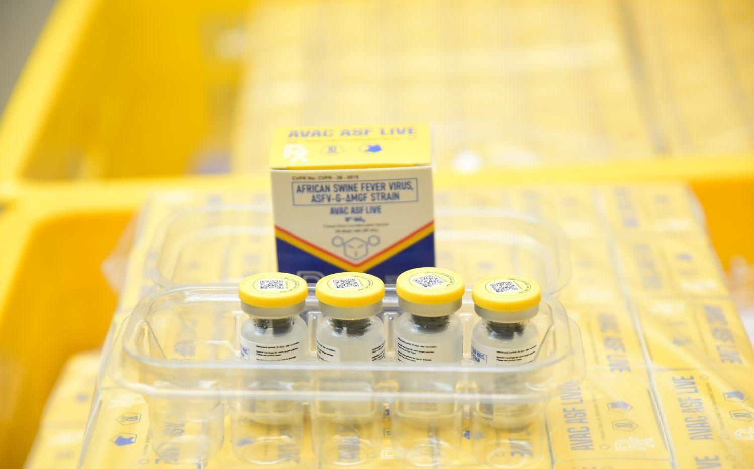 Vaccine dịch tả lợn châu Phi của Việt Nam hoàn tất đơn hàng 300.000 liều tại Philippines Vaccine dịch tả lợn châu Phi của Việt Nam hoàn tất đơn hàng 300.000 liều tại Philippines