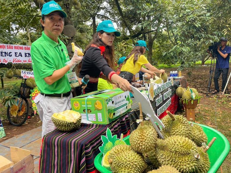 Sầu riêng Đắk Lắk: Sau lễ hội, làm gì để giữ thị trường? Sầu riêng Đắk Lắk: Sau lễ hội, làm gì để giữ thị trường?
