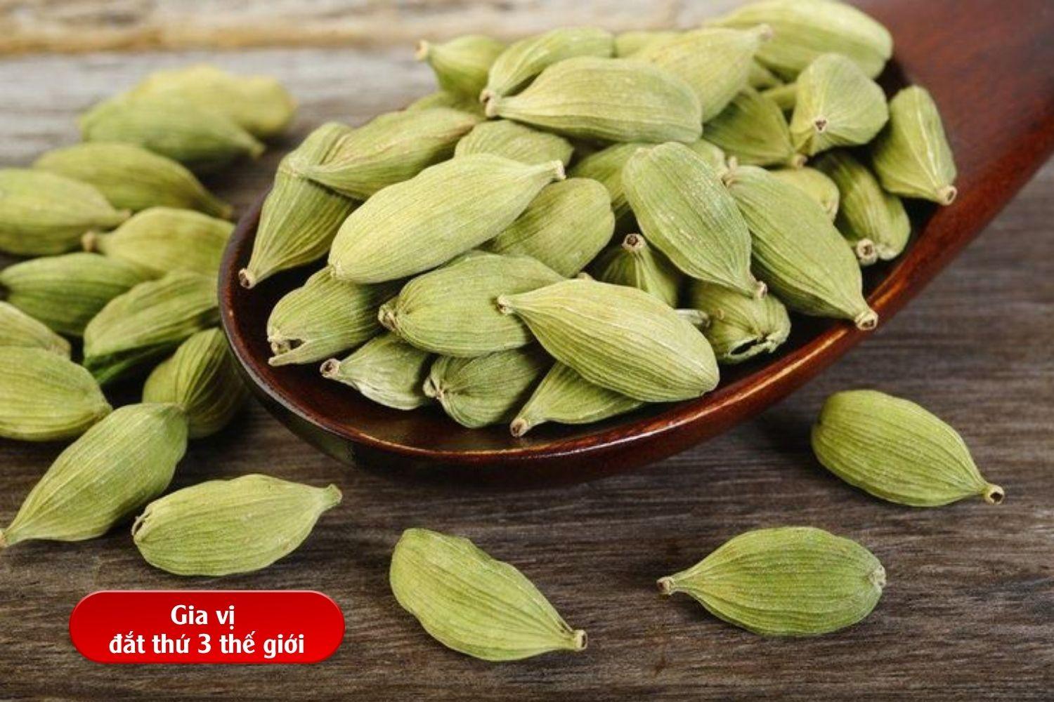 Gia vị đắt thứ 3 thế giới mọc hoang tại Việt Nam: Trồng 3 năm mới hái quả, hơn 30 quốc gia đặt hàng mang về 23 triệu USD