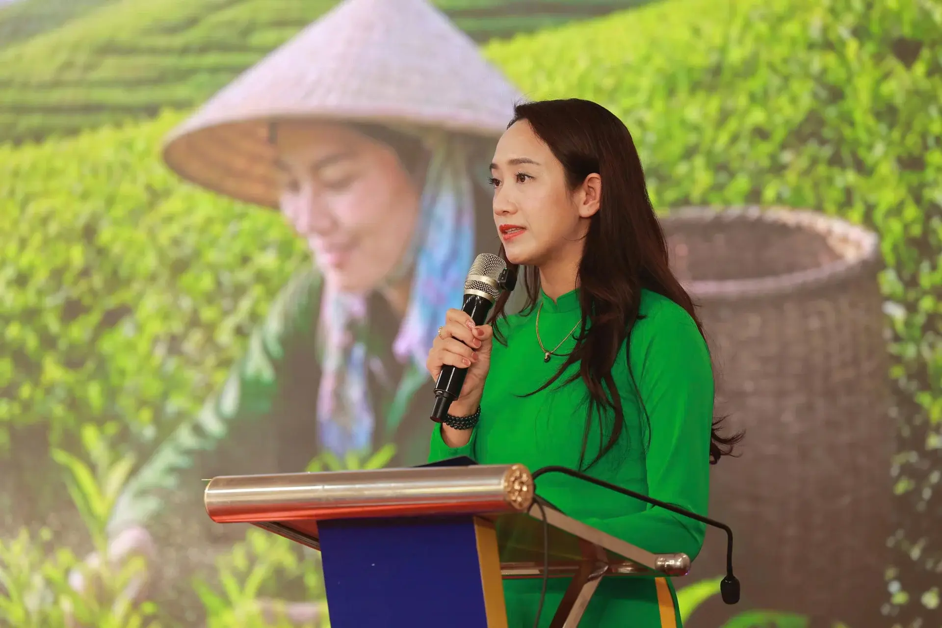 Doanh nhân Phạm Thùy Linh đề xuất xây dựng chuỗi giá trị nông sản Thái Nguyên bền vững Doanh nhân Phạm Thùy Linh đề xuất xây dựng chuỗi giá trị nông sản Thái Nguyên bền vững
