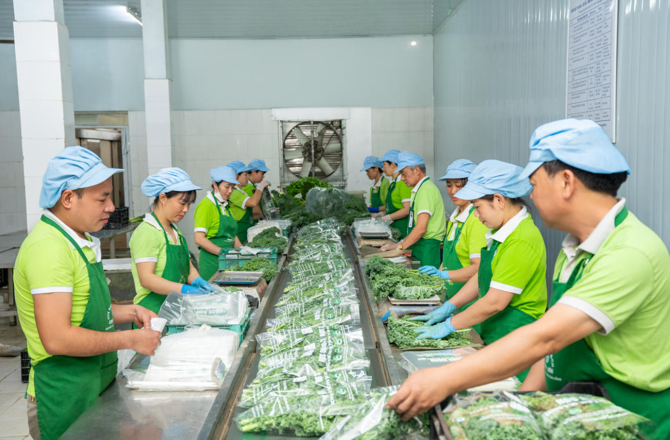 Công nghệ số mở hướng đổi mới quản trị sản xuất nông nghiệp Hà Nội