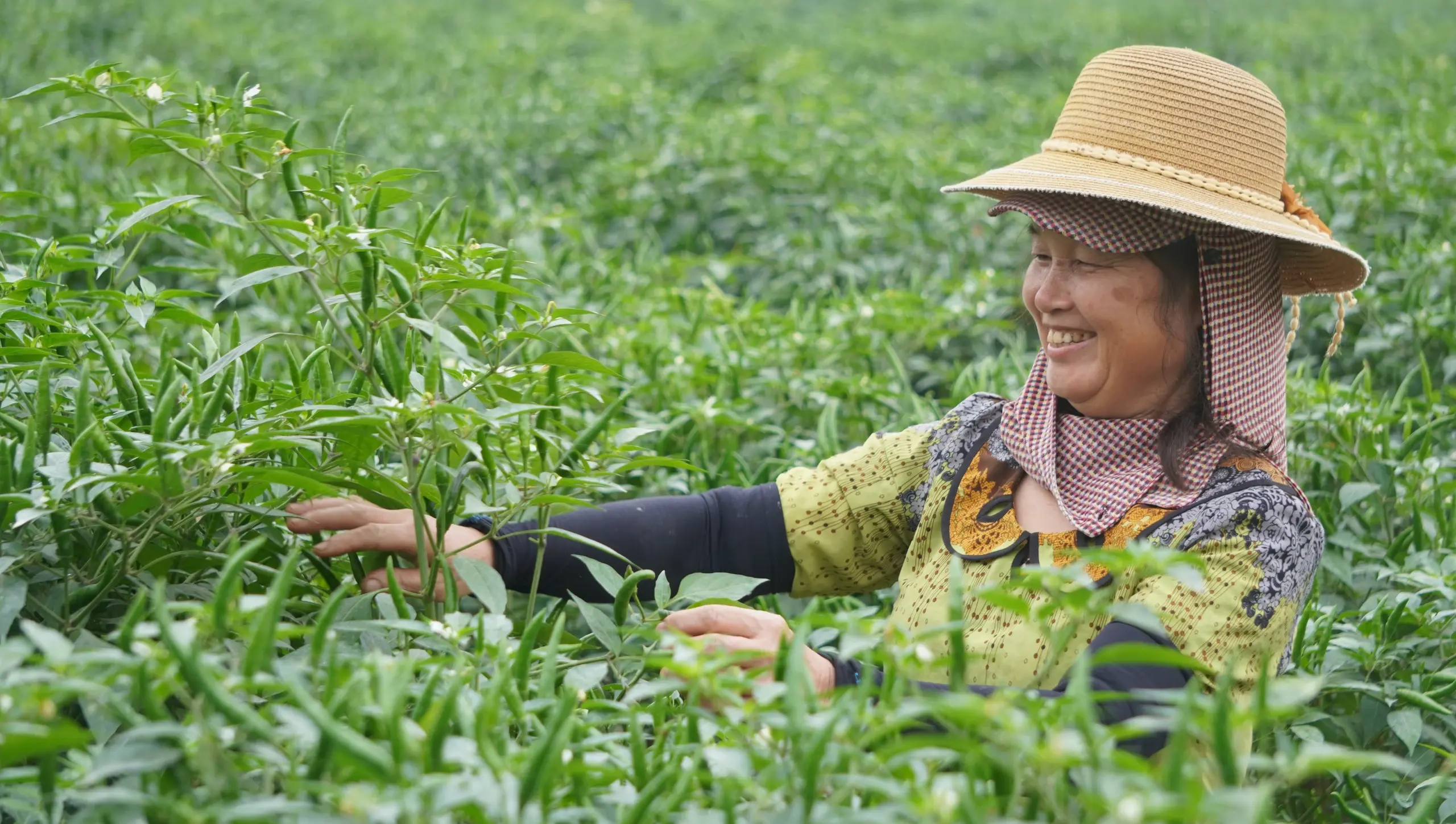 Hội Nông dân Thanh Hóa: Kết nối nguồn lực, kiến tạo giá trị cho nông nghiệp xanh