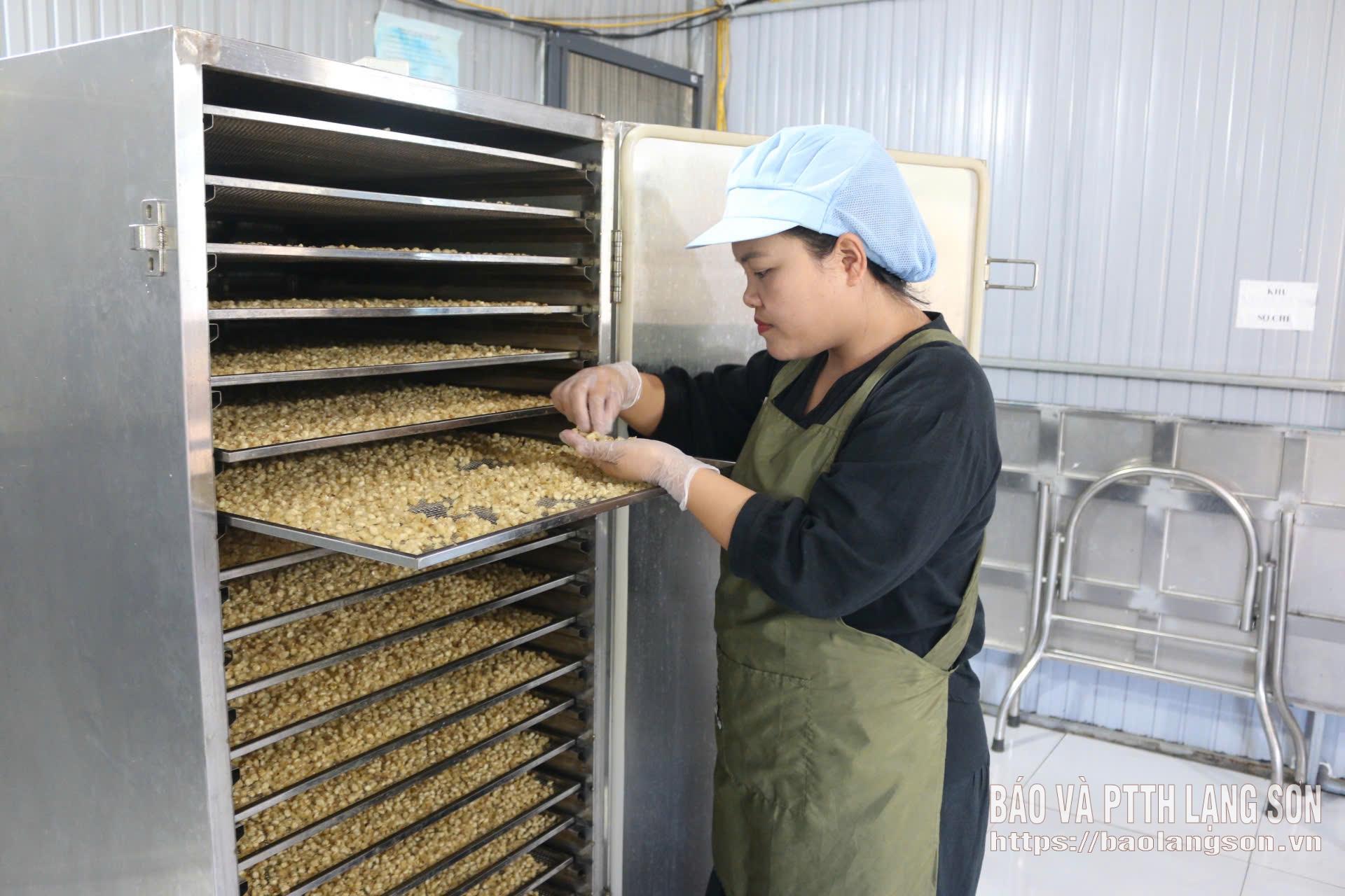 Ngô nếp cổ Vạn Linh thêm cơ hội vươn xa nhờ sản phẩm mới