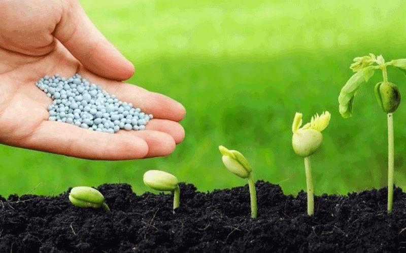 Siết hậu kiểm nâng chế tài để làm sạch thị trường phân bón