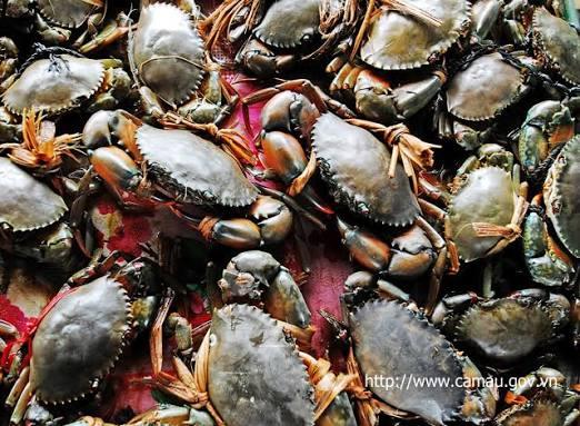 Xuất khẩu cua Việt Nam tăng trưởng mạnh, bài toán đầu ra vẫn cần lời giải