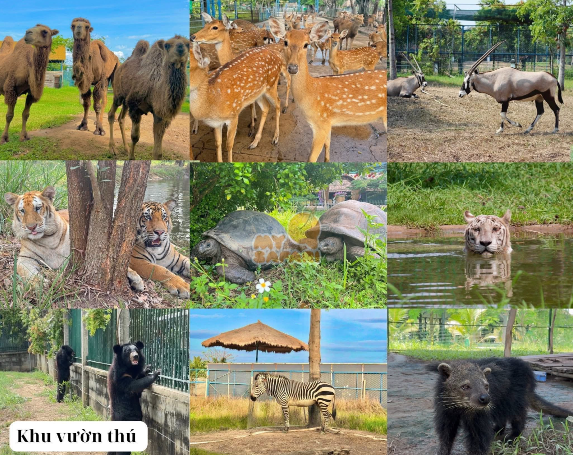 Một vườn thú Safari nổi tiếng miễn vé cho phụ nữ mặc áo dài dịp 20/10 Một vườn thú Safari nổi tiếng miễn vé cho phụ nữ mặc áo dài dịp 20/10