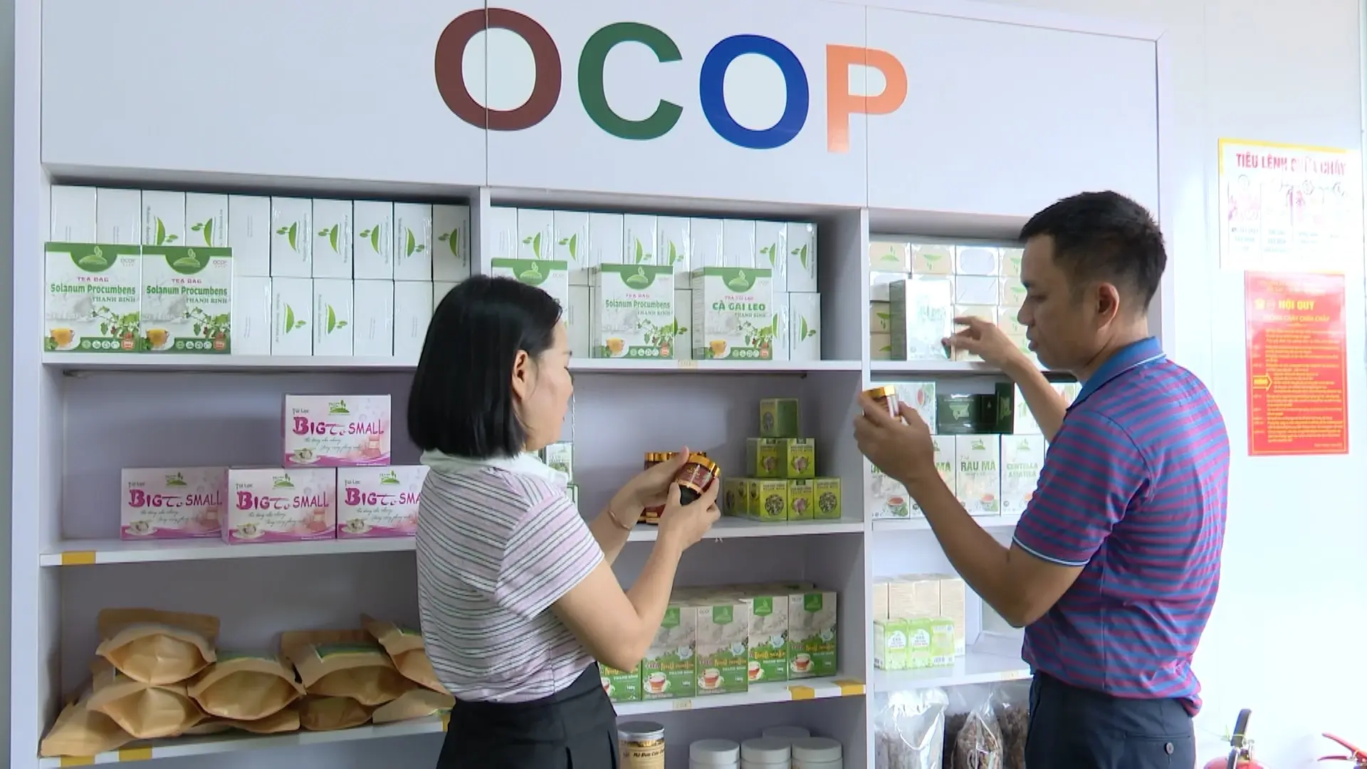 Từ cây dược liệu đến những sản phẩm mang thương hiệu riêng