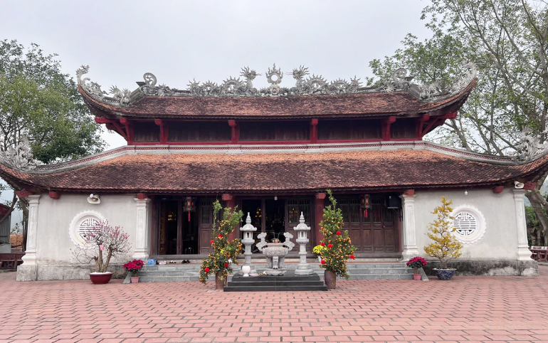 ntd3_1792485416.png