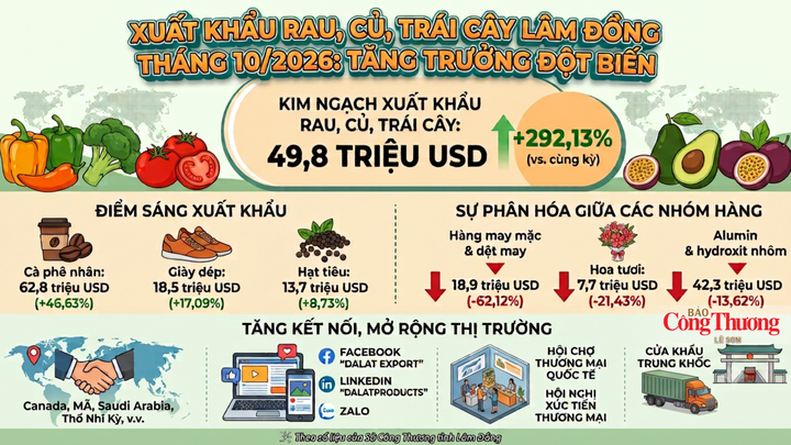 tq_1792468798.png