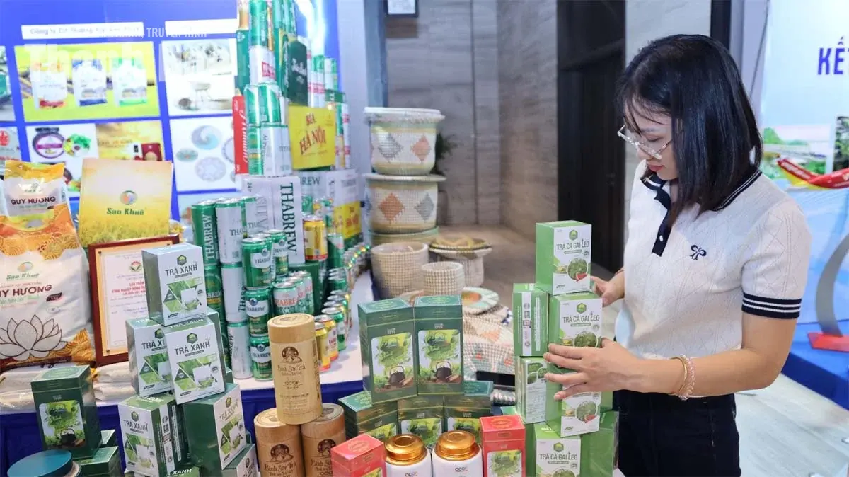 Trợ lực khuyến công và OCOP: Đòn bẩy đưa sản phẩm nông thôn Thanh Hóa vươn tầm quốc gia