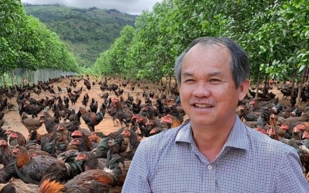Bầu Đức từng thử nuôi 100.000 con gà ăn chuối, hiện thực tế ra sao? Bầu Đức từng thử nuôi 100.000 con gà ăn chuối, hiện thực tế ra sao?