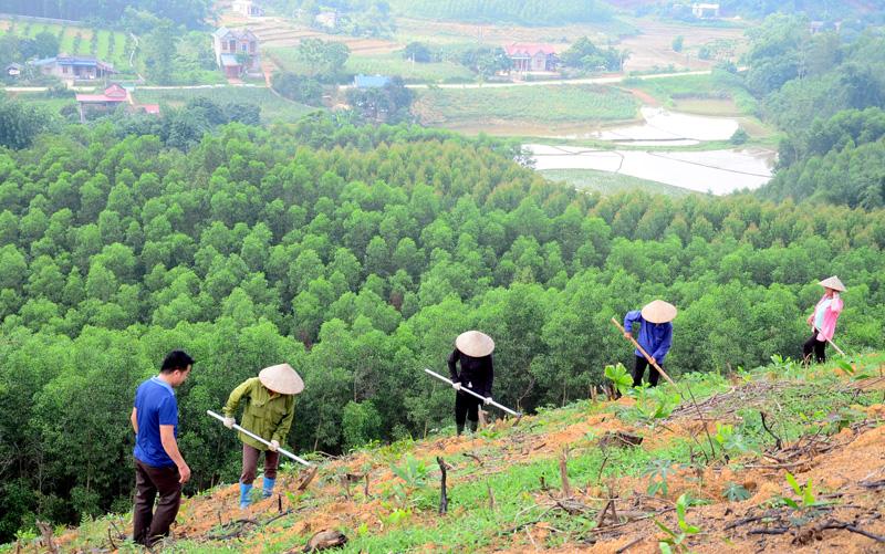 Công bố bản đồ ranh giới rừng hỗ trợ xuất khẩu nông lâm sản đáp ứng quy định EUDR