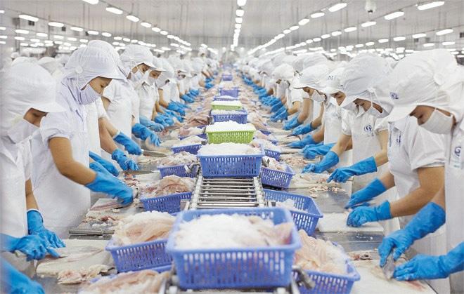 VIFTA mở lối cho thủy sản Việt Nam bứt tốc tại thị trường Israel VIFTA mở lối cho thủy sản Việt Nam bứt tốc tại thị trường Israel