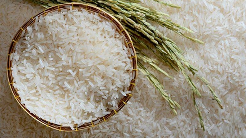 Giá lúa gạo ngày 22/10: Lúa tươi tăng giảm trái chiều gạo xuất khẩu đi ngang