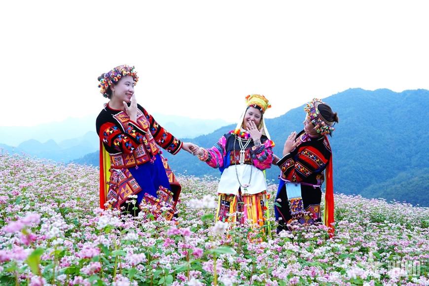 Đến Tuyên Quang trải nghiệm Lễ hội Hoa tam giác mạch lần thứ XII với 400ha hoa rực rỡ Đến Tuyên Quang trải nghiệm Lễ hội Hoa tam giác mạch lần thứ XII với 400ha hoa rực rỡ