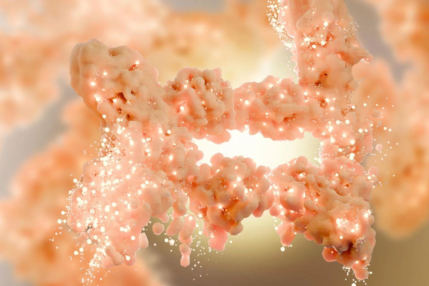 Thị trường thuốc giảm cân đứng trước bước ngoặt lớn: Phát hiện "công tắc" protein giúp cơ thể tự đốt mỡ giúp giảm cân mà không giảm cơ Thị trường thuốc giảm cân đứng trước bước ngoặt lớn: Phát hiện "công tắc" protein giúp cơ thể tự đốt mỡ giúp giảm cân mà không giảm cơ