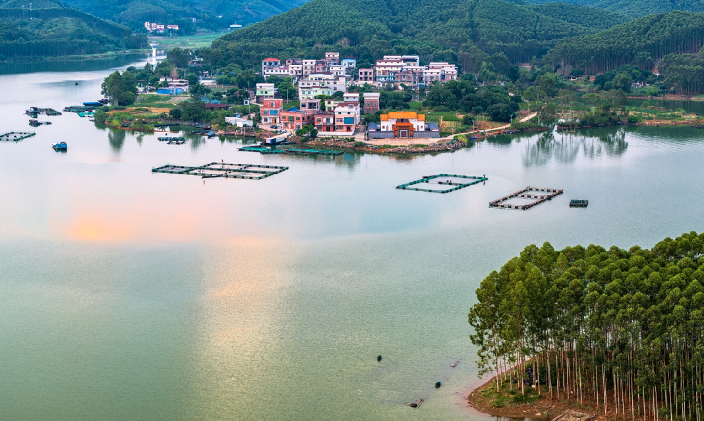 screen-shot-2026-10-25-at-14.13.19_1792912522.png