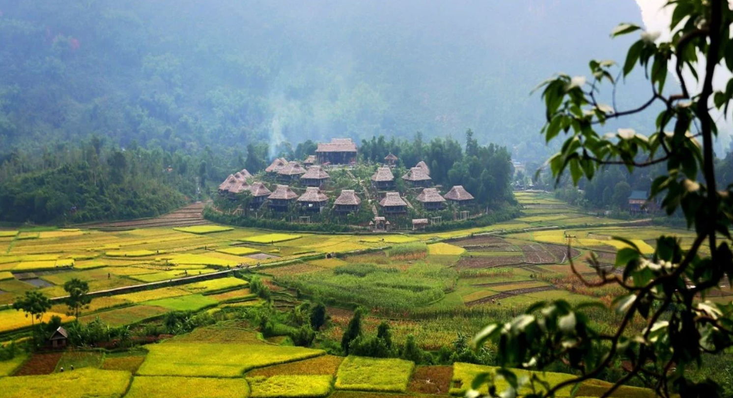 dl_1792981723.png