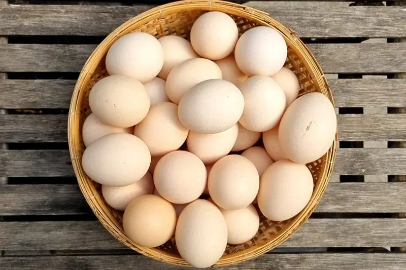 Trứng gà rớt giá tại trại lên kệ siêu thị vẫn đắt gấp ba lần Trứng gà rớt giá tại trại lên kệ siêu thị vẫn đắt gấp ba lần