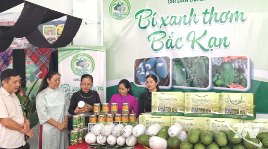 Công bố chỉ dẫn địa lý “Bắc Kạn” cho sản phẩm bí xanh thơm tỉnh Thái Nguyên Công bố chỉ dẫn địa lý “Bắc Kạn” cho sản phẩm bí xanh thơm tỉnh Thái Nguyên