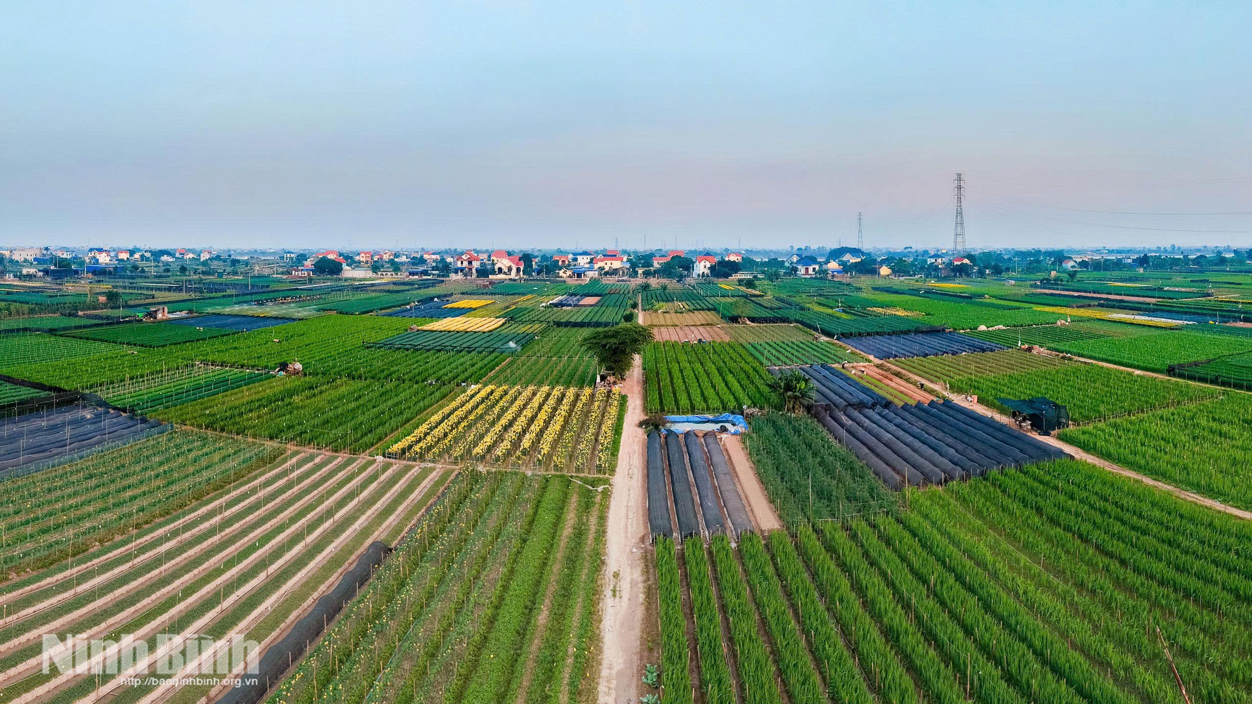Từ đất bãi ven sông đến những mô hình nông nghiệp sinh lợi Từ đất bãi ven sông đến những mô hình nông nghiệp sinh lợi