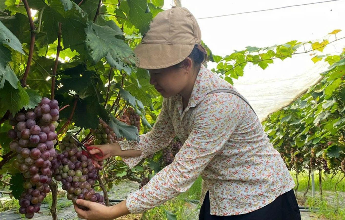 Chuyển đổi số tạo bước chuyển trong quản trị nông nghiệp
