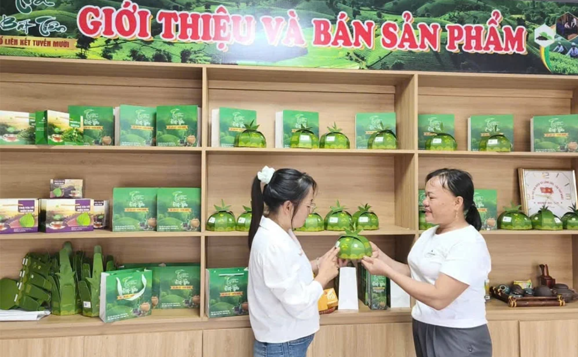 Khai thác giá trị bản địa, nâng tầm thương hiệu chè Phú Thọ