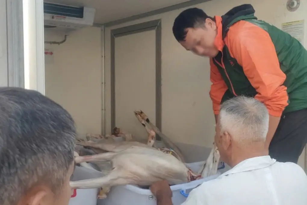 TPHCM phát hiện gần 1 tấn thịt không có giấy kiểm dịch tài xế xin tiêu hủy