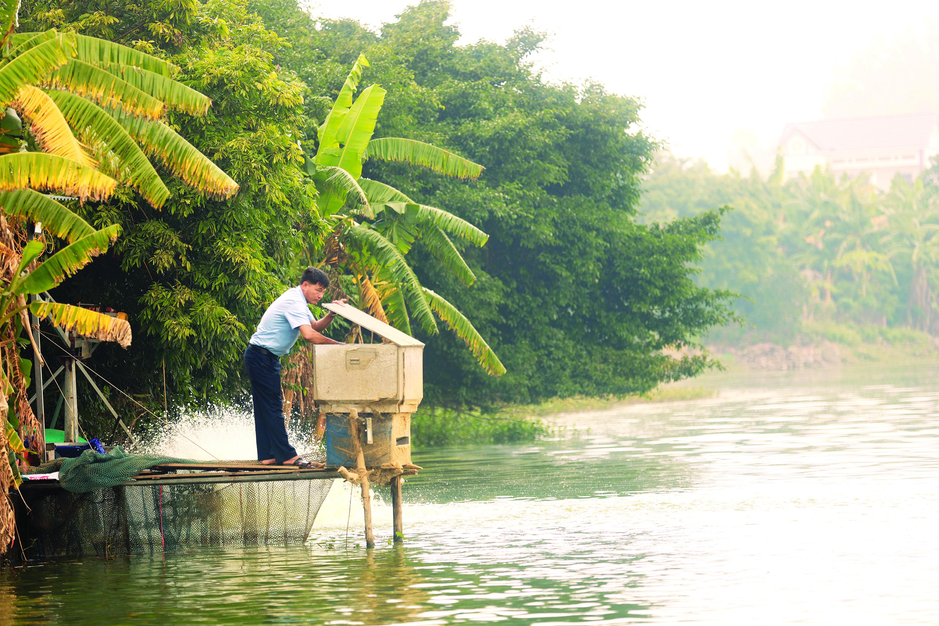 Bắc Ninh: Xã Cẩm Lý hướng tới giảm nghèo bền vững gắn với phát triển sinh kế và bảo đản an sinh xã hội