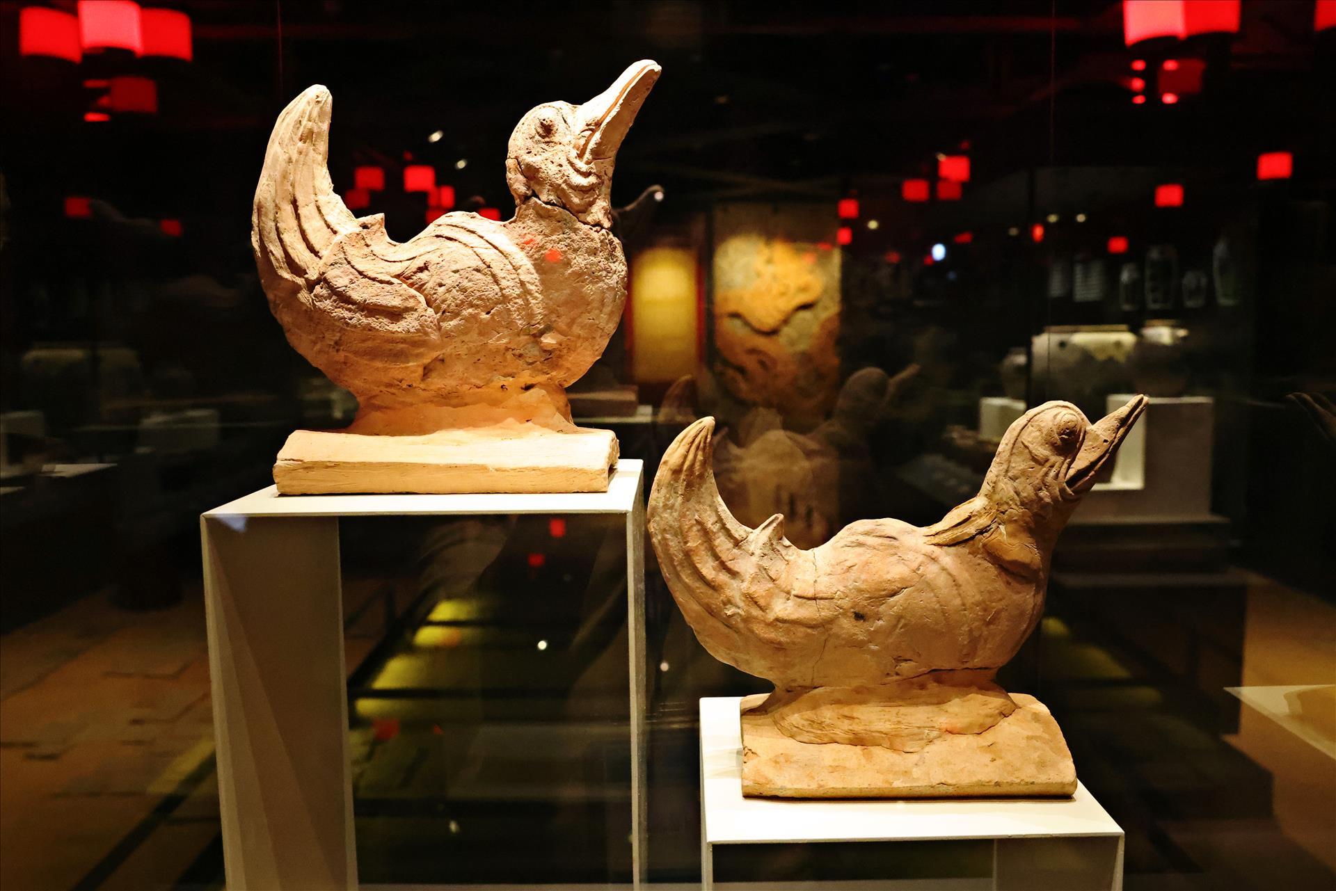 bao-anh-viet-nam-3_1793268707.jpg