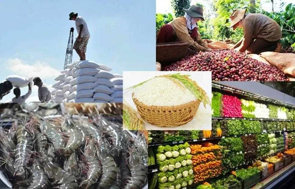 Xuất nhập khẩu Việt Nam vượt 1.000 tỷ USD sau 10 tháng hướng tới những cột mốc mới