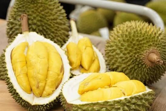 Sầu riêng nghịch vụ tăng giá nhà vườn Đồng Tháp thấp thỏm lo đầu ra