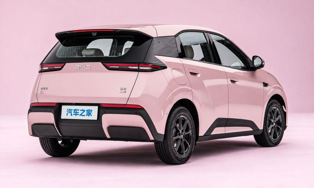 xe-byd-no-lop-3_1793458653.jpg