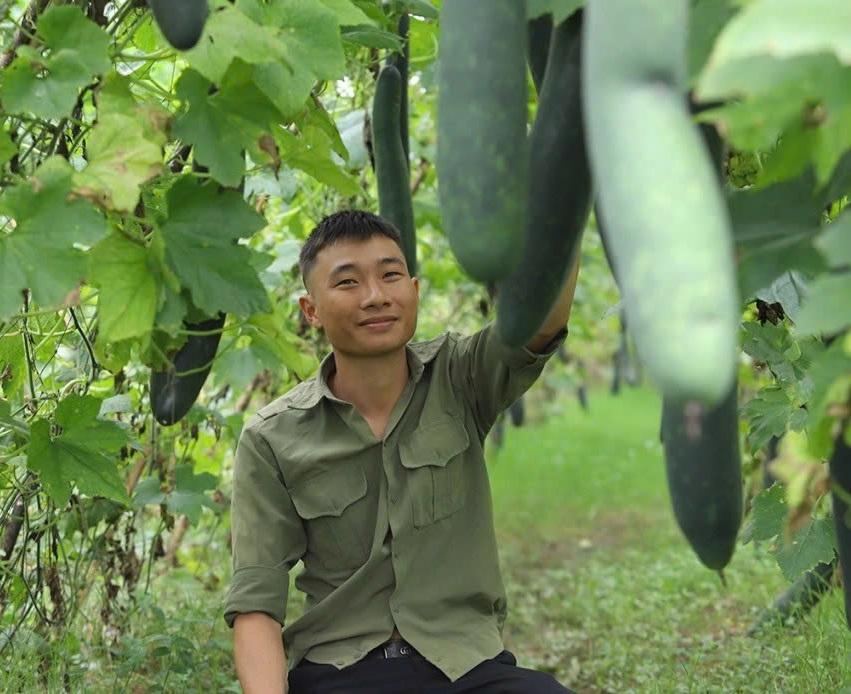Từ Israel về quê Nghệ An trồng bí xanh kỹ sư trẻ thu 400 triệu đồng/năm Từ Israel về quê Nghệ An trồng bí xanh kỹ sư trẻ thu 400 triệu đồng/năm
