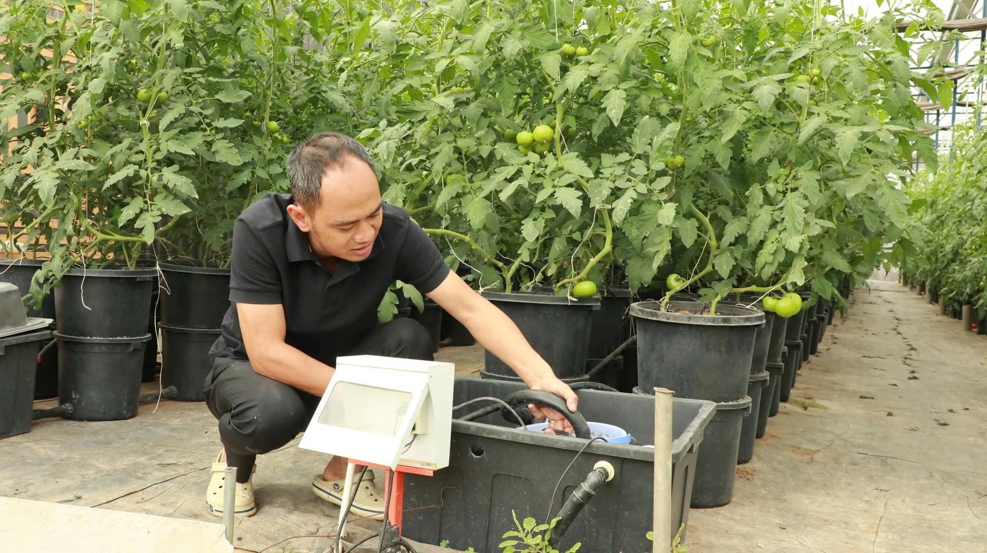 Chuyển đổi số trong nông nghiệp Lâm Đồng: Tư duy quan trọng hơn công nghệ