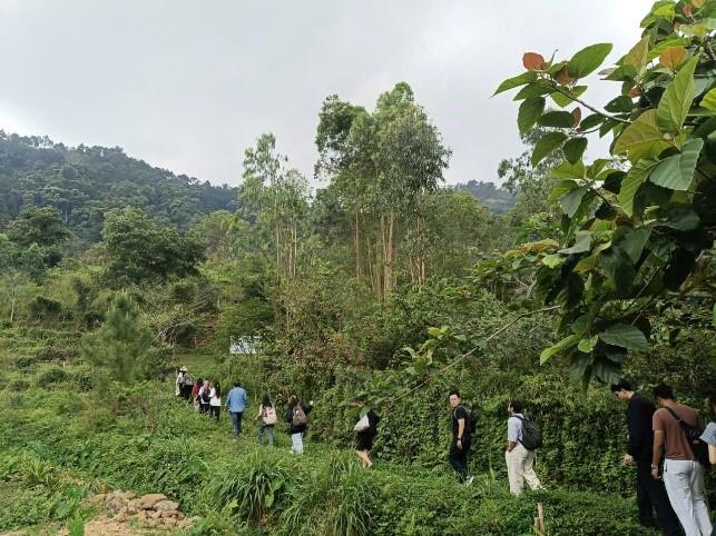Hành trình xanh: Sinh viên Nanyang Polytechnic (Singapore) khám phá "kho báu" dược liệu tại Sóc Sơn`