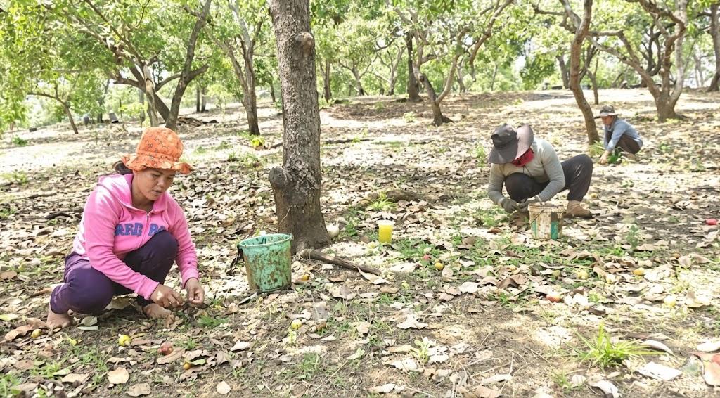 nhat_1775011000.jfif