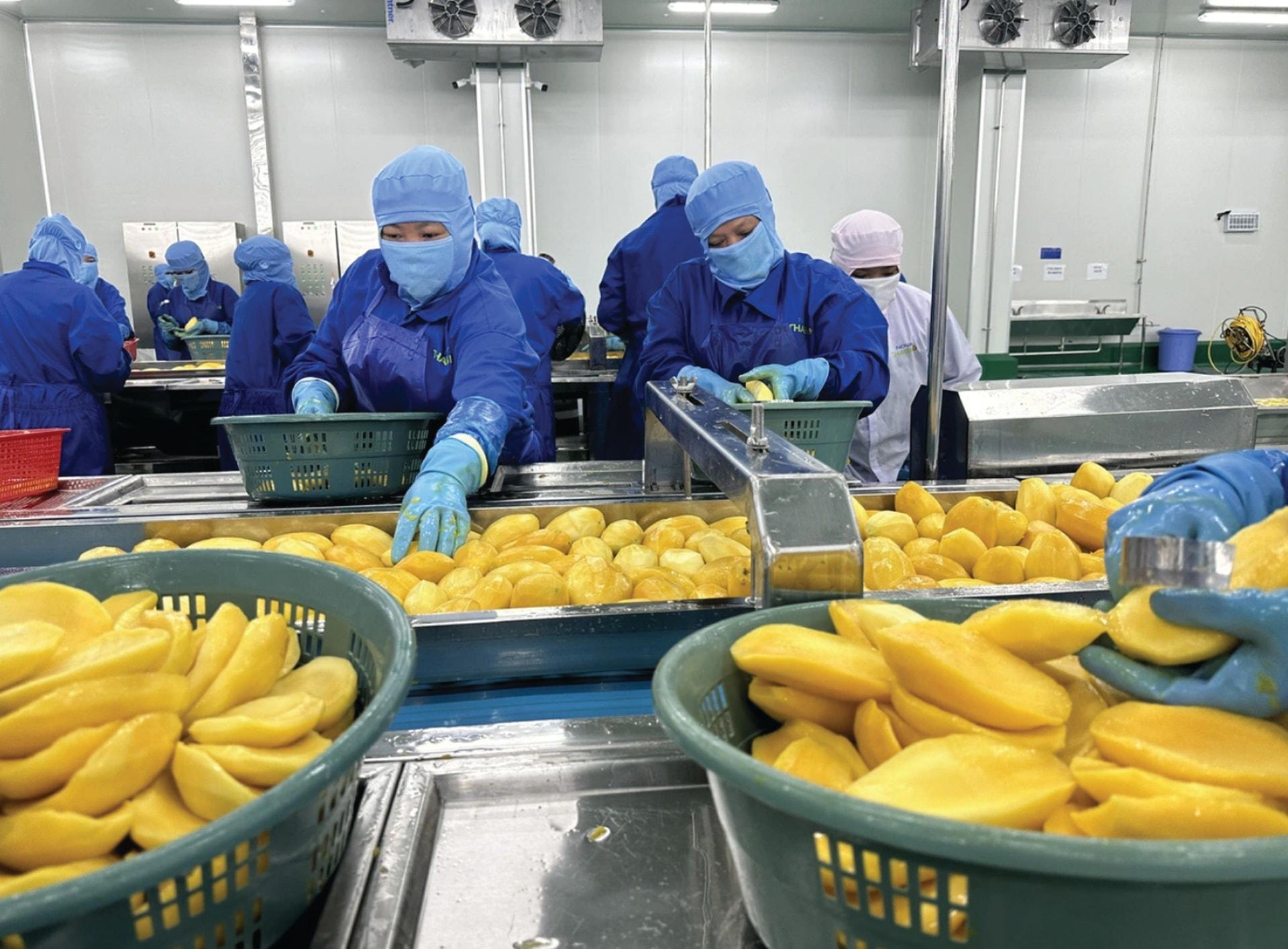 Để nông sản Việt vươn xa, nông nghiệp phải sản xuất "cái thị trường cần"