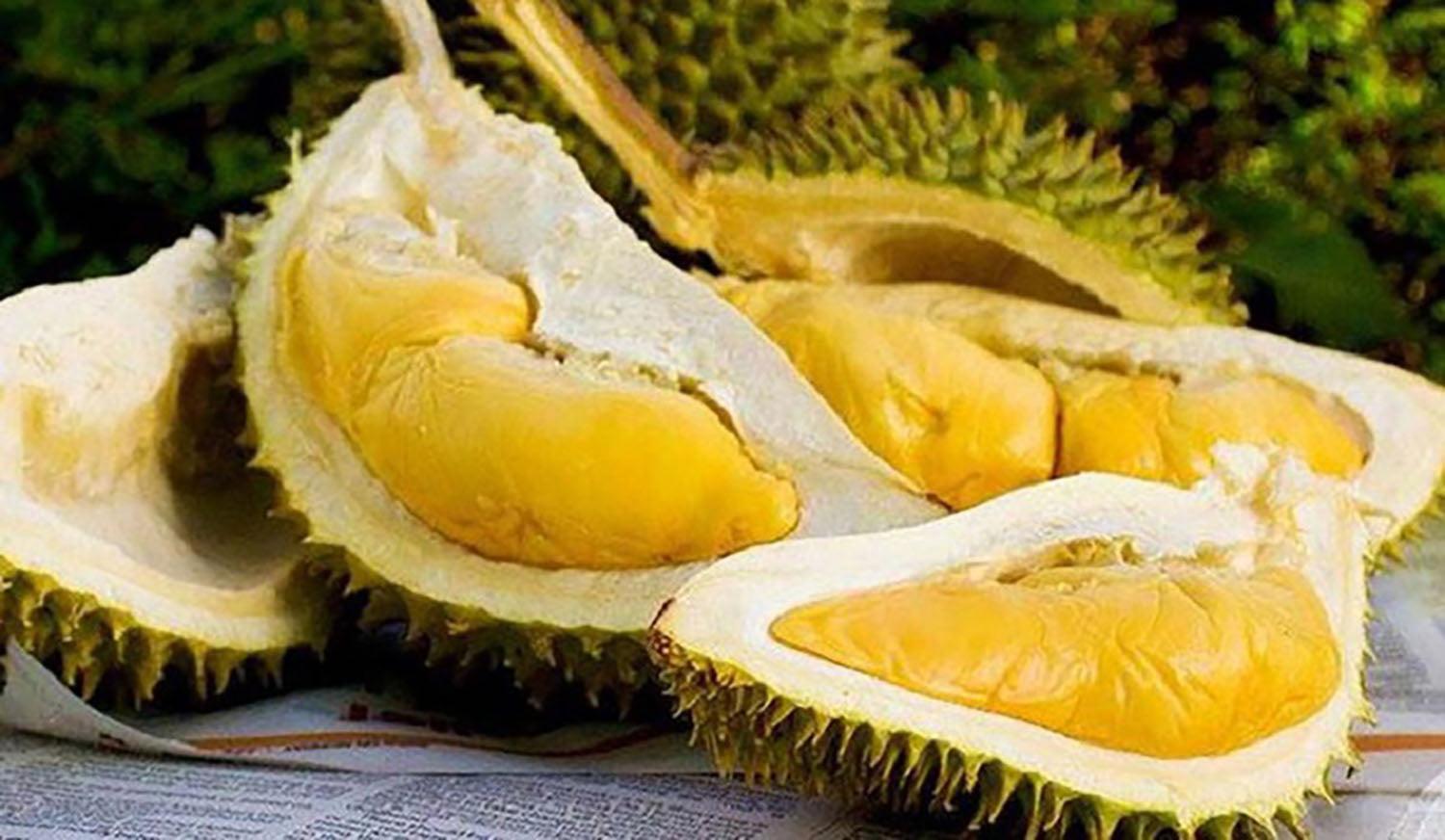 Xuất khẩu sầu riêng quý I/2026 tăng hơn 2 lần