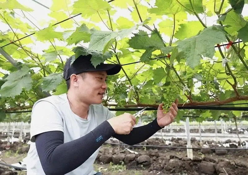 Hành trình lột xác của mô hình nông nghiệp truyền thống sang công nghệ tỷ đồng