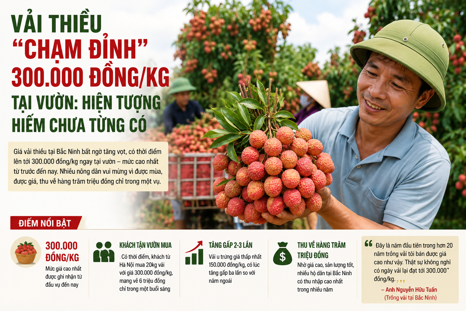 Vải thiều “chạm đỉnh” 300.000 đồng/kg tại vườn: Hiện tượng hiếm chưa từng có Vải thiều “chạm đỉnh” 300.000 đồng/kg tại vườn: Hiện tượng hiếm chưa từng có