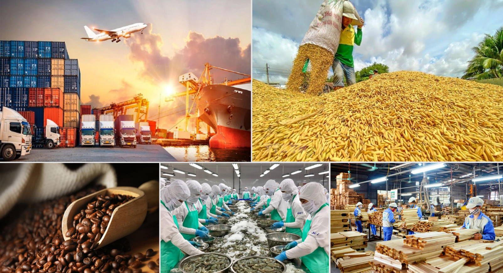 Động lực nào giúp nông nghiệp duy trì đà tăng trưởng tích cực?
