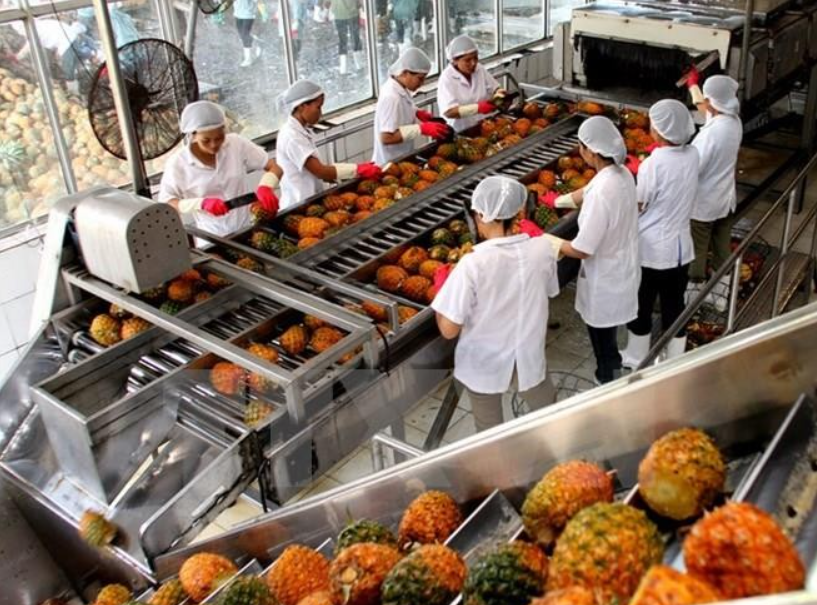 EU, Nhật Bản siết tiêu chuẩn SPS: Thách thức lớn cho nông sản xuất khẩu EU, Nhật Bản siết tiêu chuẩn SPS: Thách thức lớn cho nông sản xuất khẩu