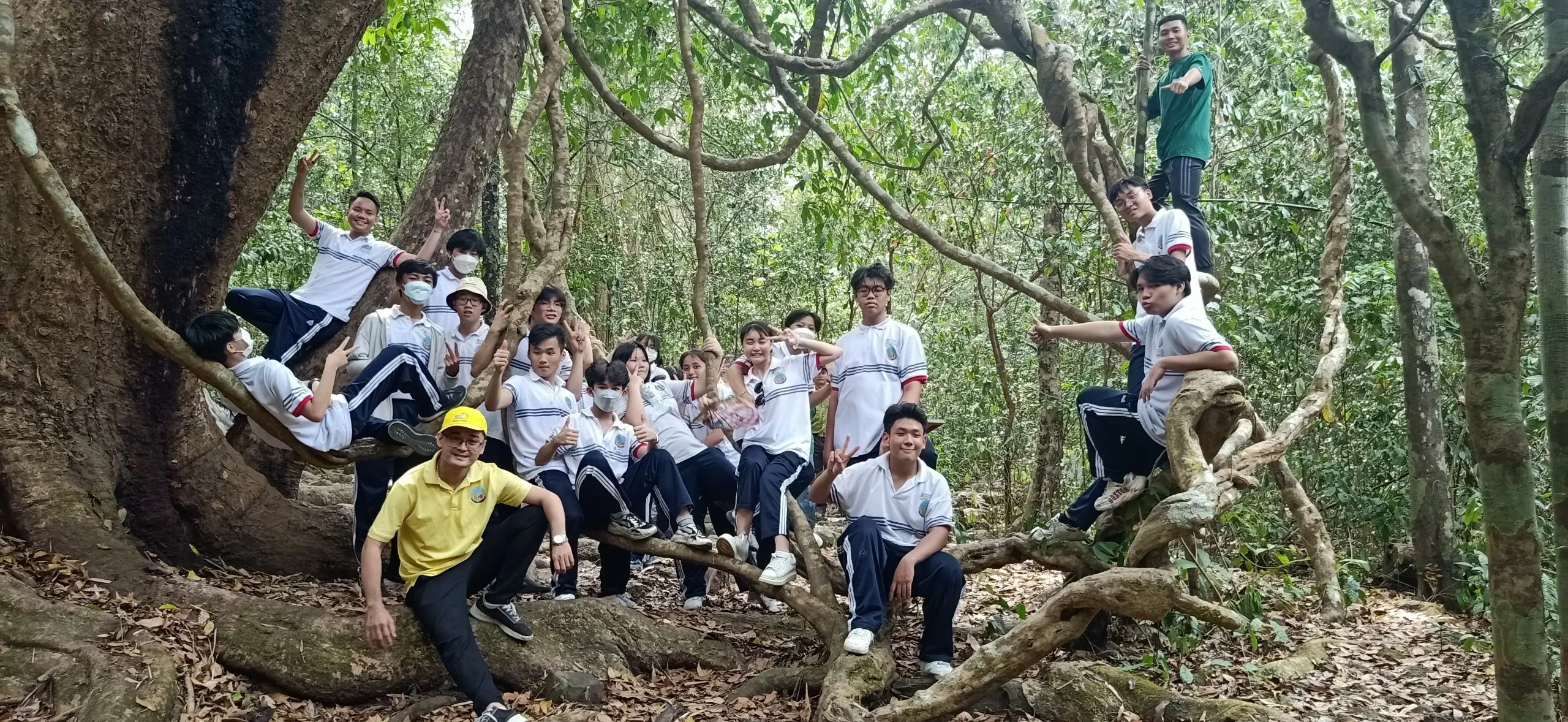 dk_1785554529.webp