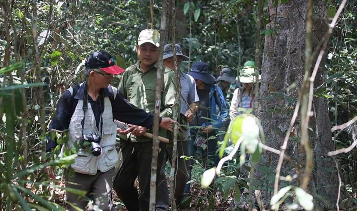 Đồng Nai phát triển hệ sản phẩm du lịch sinh thái rừng Đồng Nai phát triển hệ sản phẩm du lịch sinh thái rừng