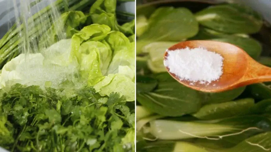 Chuyên gia điểm mặt 3 sai lầm khi ngâm rau bằng nước muối khiến gia đình rước bệnh Chuyên gia điểm mặt 3 sai lầm khi ngâm rau bằng nước muối khiến gia đình rước bệnh