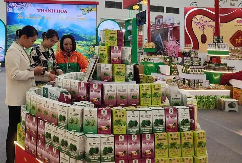 Đánh thức tiềm năng từ loài cây mọc hoang trên đất khó