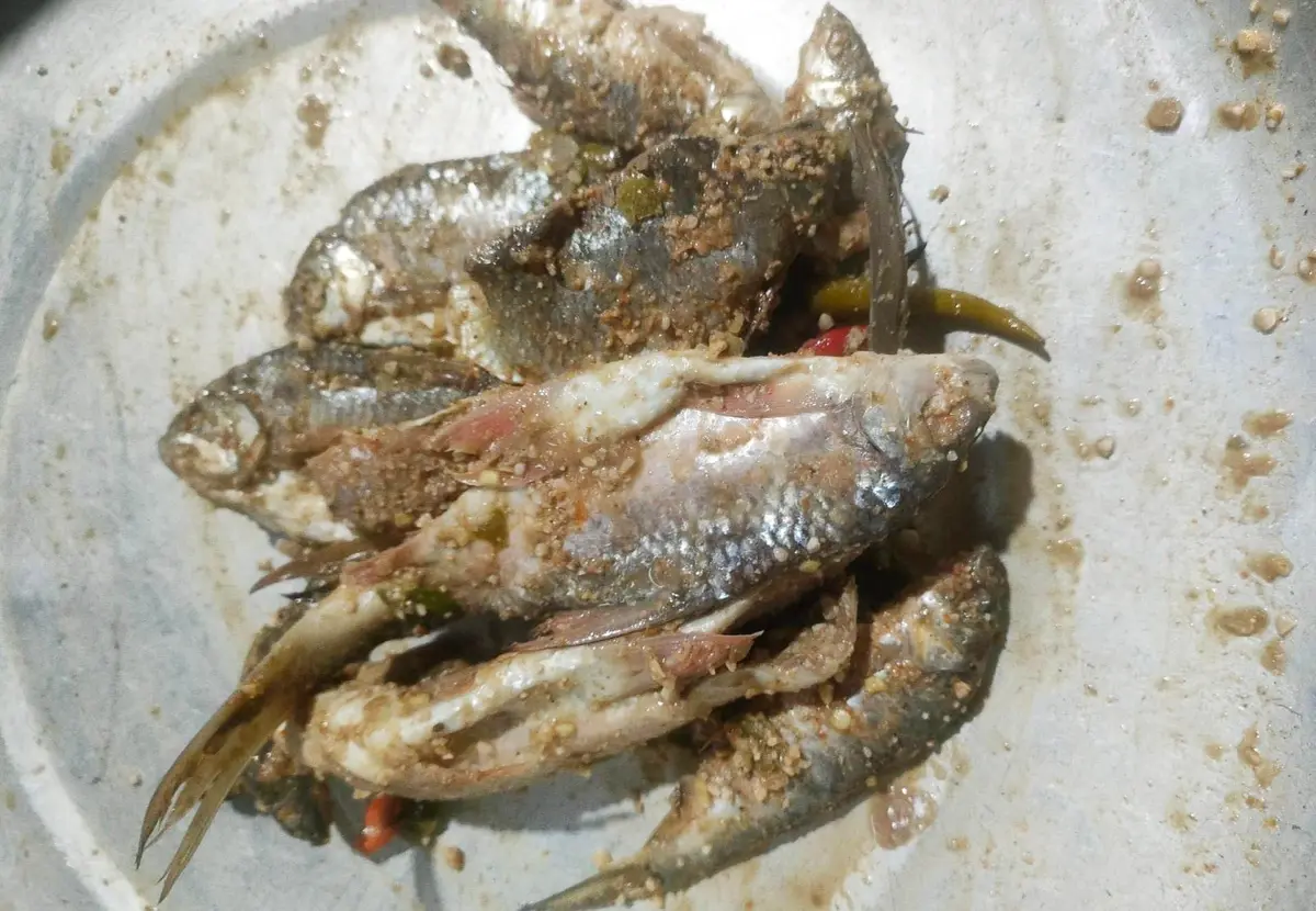 Ba trẻ em tại Đà Nẵng nguy kịch nghi do ngộ độc botulinum sau khi ăn cá ủ chua