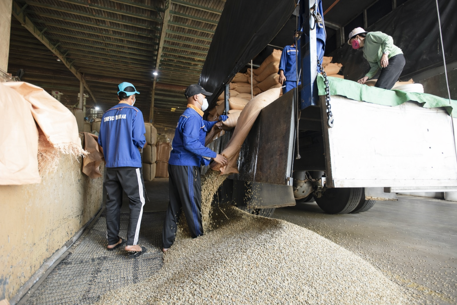 Xuất khẩu nông sản Việt tăng tốc đầu 2026: Mở ra chu kỳ tăng trưởng mới