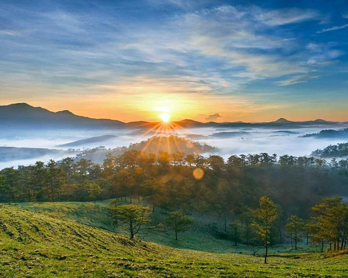 lam-dong-ban-giao-huong-xanh_1782965051.jpg